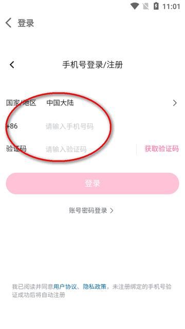 b站视频下载器(BVD) b站视频下载器(BVD)