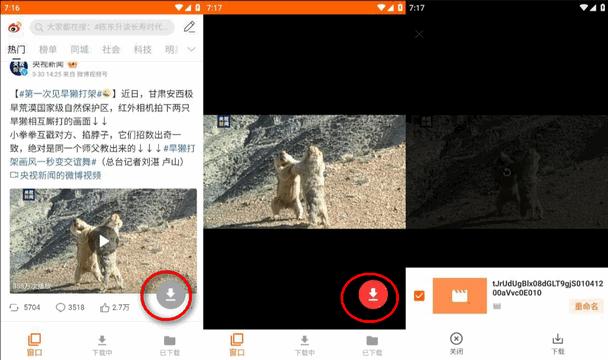 全能视频下载器app