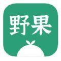 野果阅读app免费版v1.1.9最新纯净版