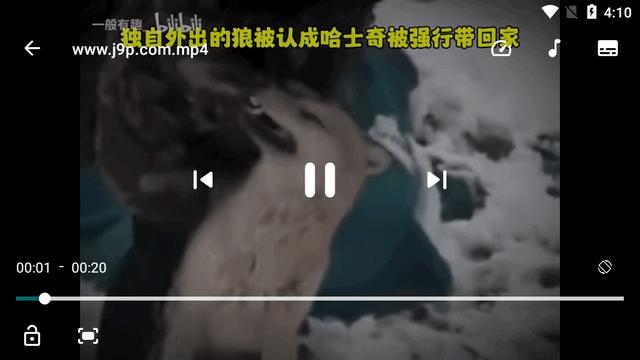 轩哥本地视频app官方版