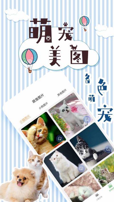 人猫翻译交流器app 人猫翻译交流器app