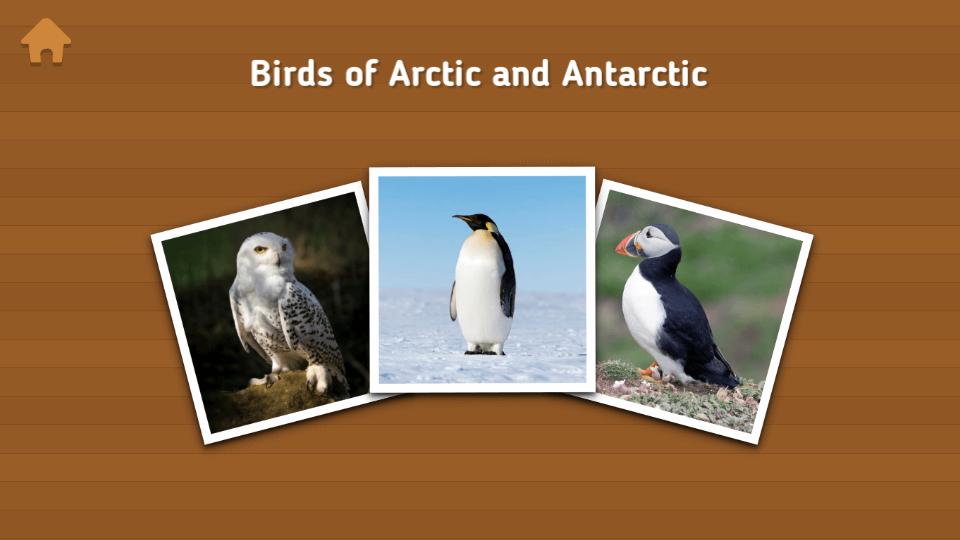 动物单词卡片(Flashcards for Kids)v1.1.0 单机免费版 v5.3.3