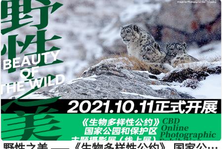 华夏地理