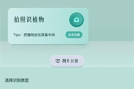 AI随拍官方版 AI随拍官方版