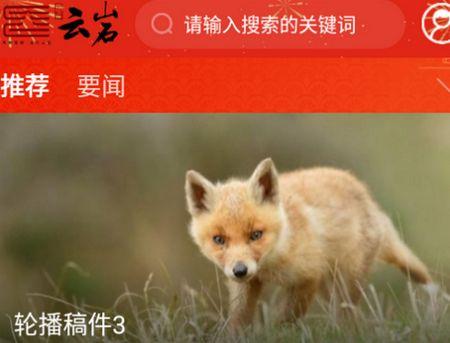 浙江省融媒体中心app官方安卓版