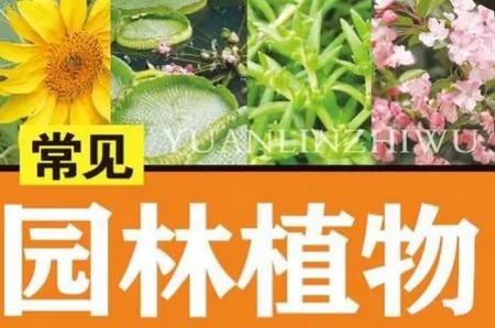 植物识别王app最新版