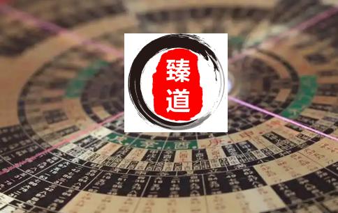 臻道文化八字排盘软件 臻道文化八字排盘软件
