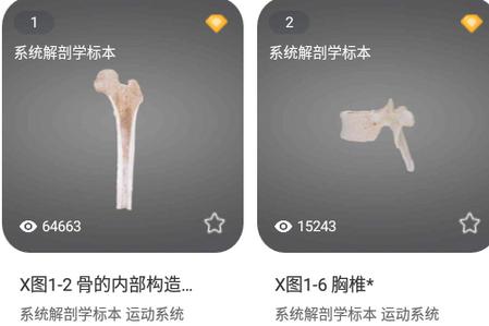 医维度解剖app 医维度解剖app