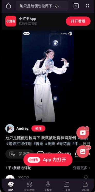 X下载器播放器(x downloader)