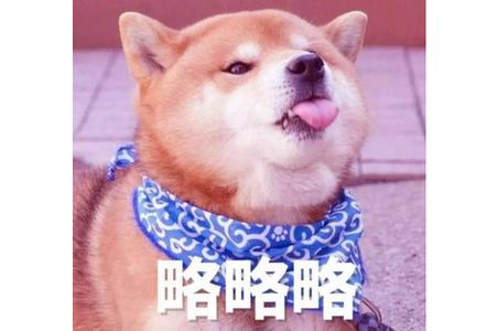 动图表情包制作软件