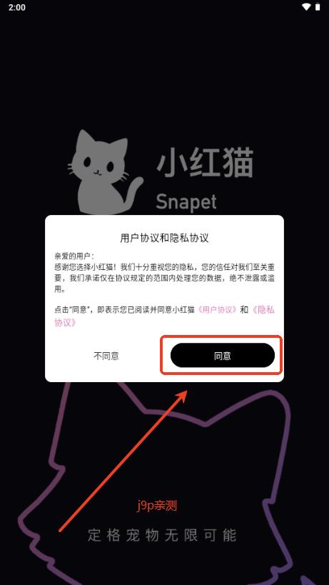 小红猫宠物写真