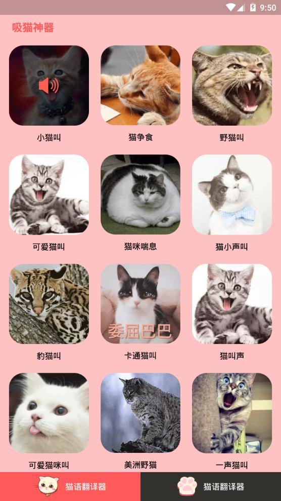 人猫交流器app手机官方版 人猫交流器app手机官方版