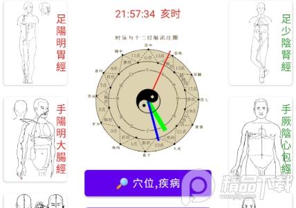 中医经络穴位流注app无广告版 中医经络穴位流注app无广告版