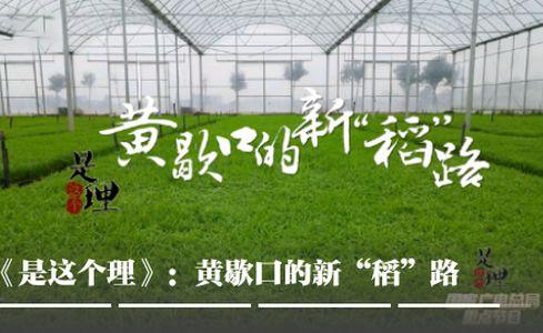 云上社科app官方版