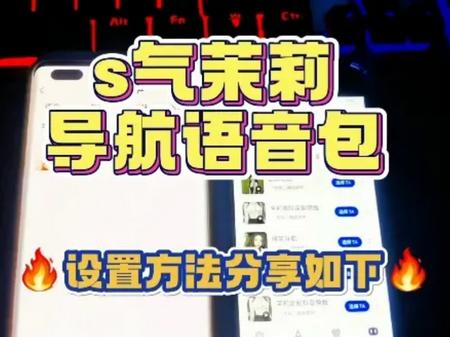 高德地图茉莉高阶定制烧浪内置版