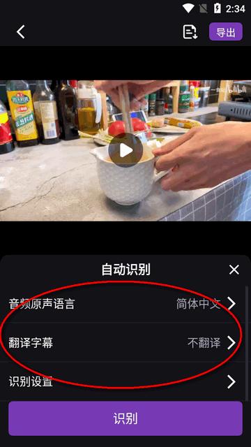 绘影字幕PRO会员高级版