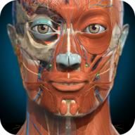 3d解剖学AnatomyLearning免费版v3.1.457 手机完整版