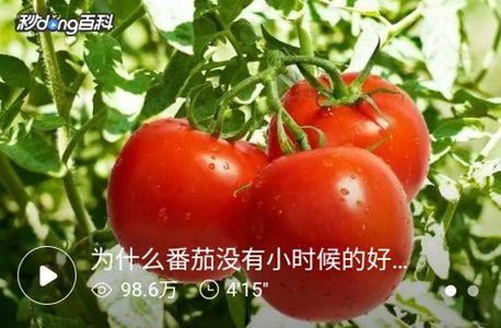 豆柿工俱app官方版