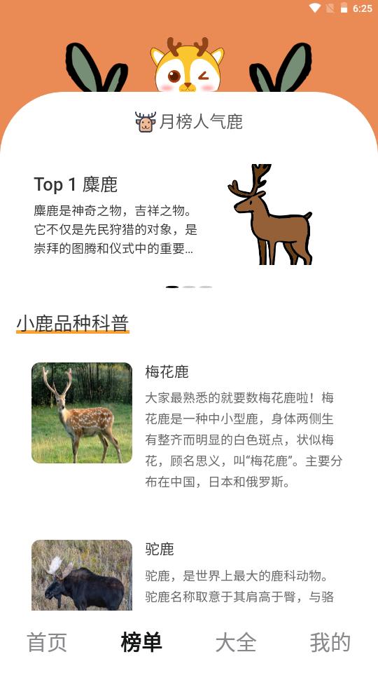 小鹿趣看手机版v2.0.2最新版 v3.0.2