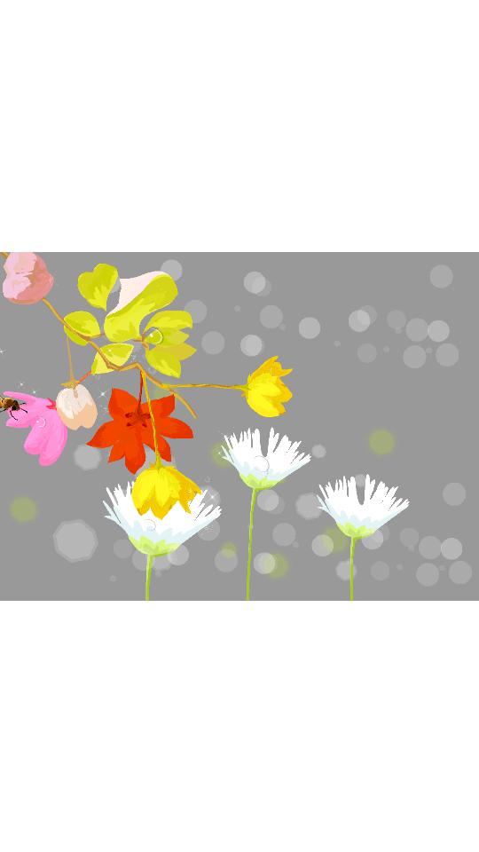 网极SWF播放器app最新版v2.2.0 安卓手机版 v5.3.1