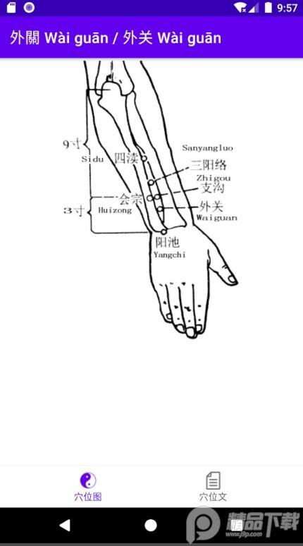 中医经络穴位流注app无广告版 中医经络穴位流注app无广告版