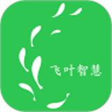 飞叶智慧商城
