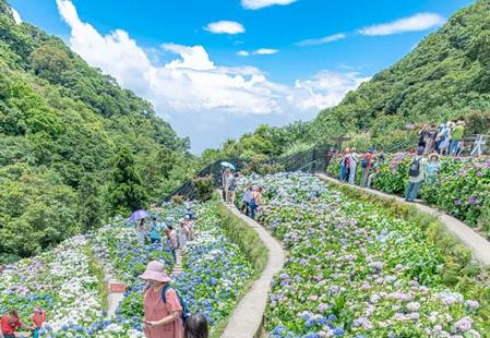 云上竹山
