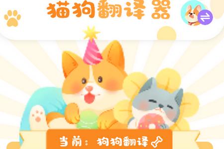 猫咪聊天翻译器app手机安卓版