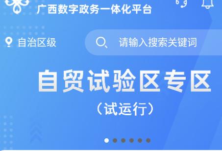 广西政务数字一体化平台