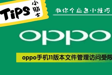 oppo文件管理app手机版 oppo文件管理app手机版