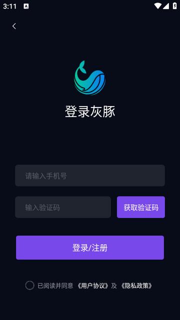 灰豚数字人