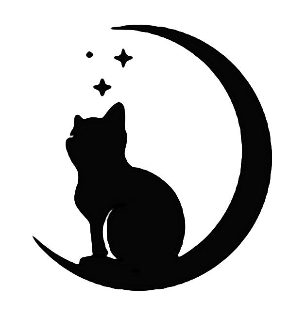 飞猫伴侣app免费版1.1.9最新版