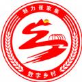 崔家集数字乡村