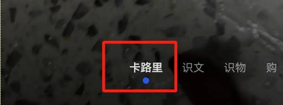 华为智慧视觉app