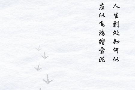 飞鸿踏雪app官方版