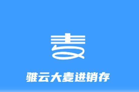 大麦进销存app官方版