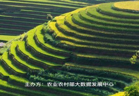 农事直通APP安卓官方版 农事直通APP安卓官方版