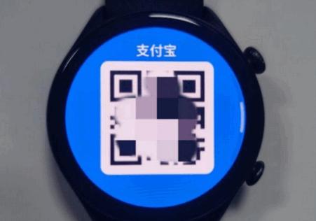 支付宝手表版客户端apk