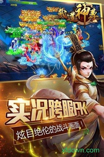 武道神尊游戏截图2