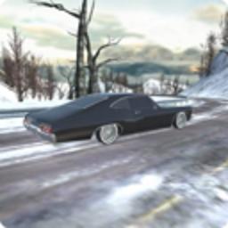 真实汽车模拟2020官方版