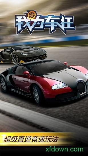 我为车狂游戏截图1