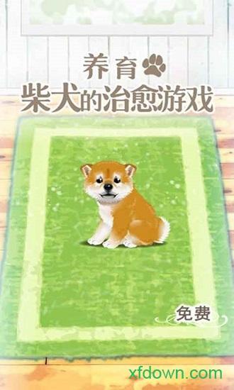 养育柴犬的治愈手游截图1