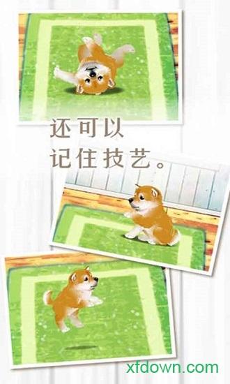 养育柴犬的治愈手游截图0
