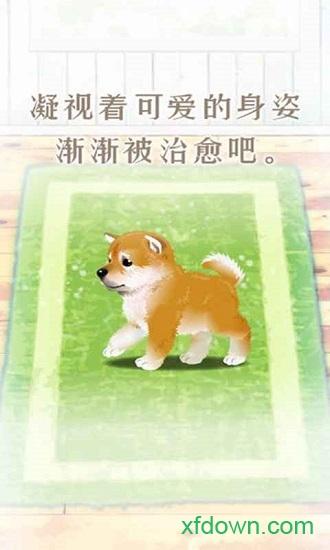 养育柴犬的治愈手游截图3