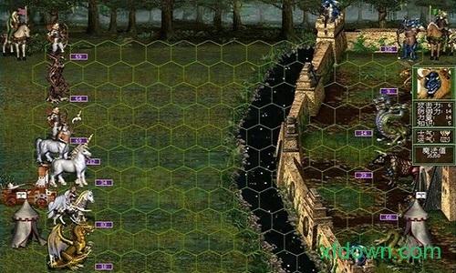 魔法门之英雄无敌3中文手机版截图0