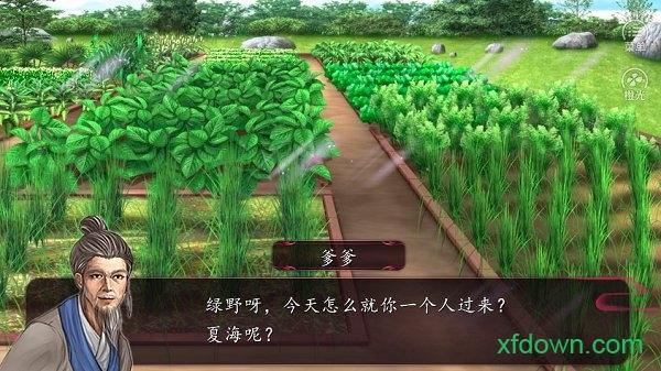 橙光陶家有女婚嫁生子篇游戏截图0