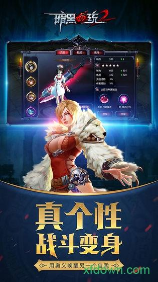 暗黑血统2满v版截图3
