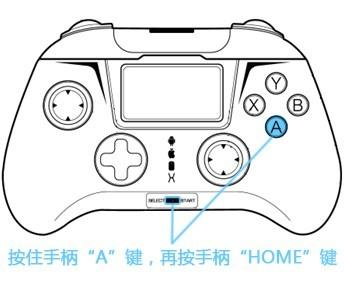 小鸡模拟器最新破解版