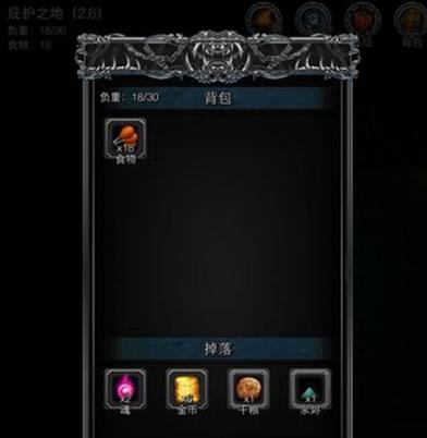 地下城堡2黑暗觉醒安卓版