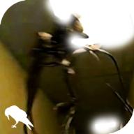 暗房backrooms中文汉化版